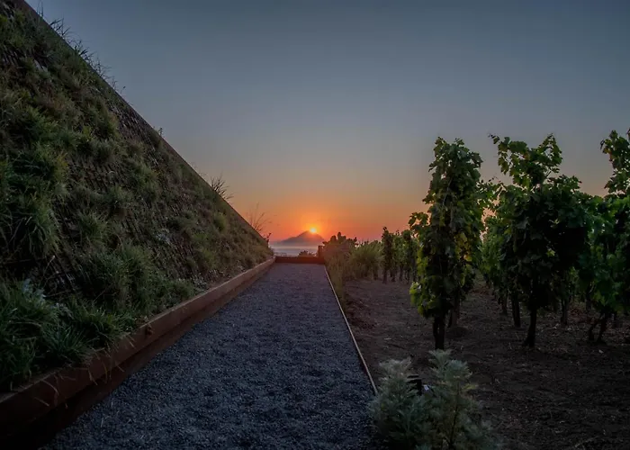 Tenuta Di Castellaro Winery & Resort *